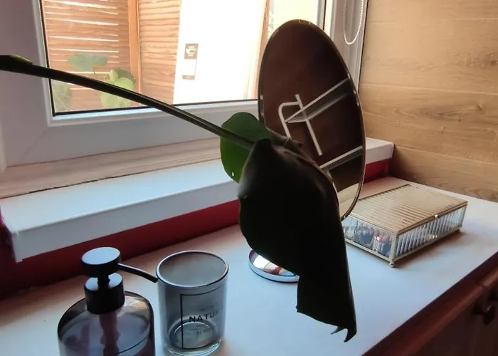 в центре возле соборной площади Appartement